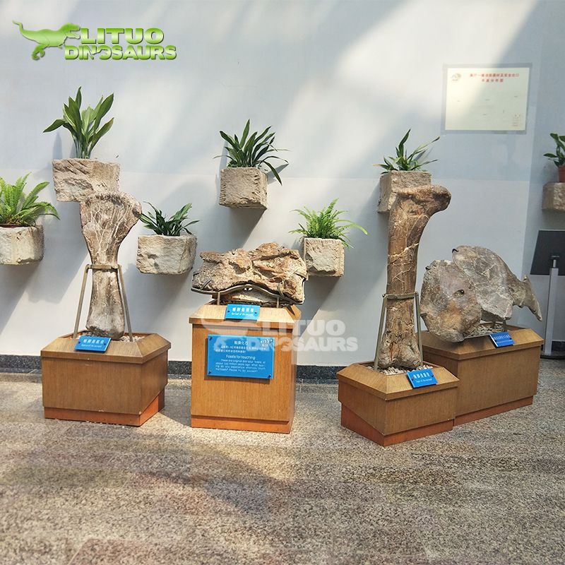 3Dinosaur Bone(001)