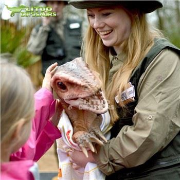 Pyped Velociraptor